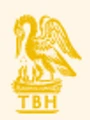 Terance Butler Holdings logo