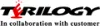 Terilogy logo