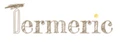 Termeric Education logo
