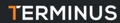Terminus Group