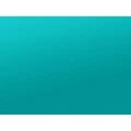 Teal India