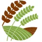 TerraVerde logo