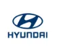 Terry Lee Hyundai logo