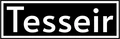Tesseir logo