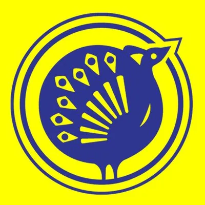 The Chennai Silks