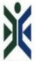The Dubin Group logo