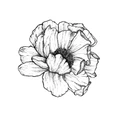 The Flora