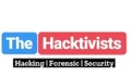 The Hacktivists