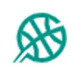 The Hoops Geek logo