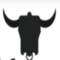 The Irish Biltong logo