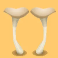 The Mushroom Hub