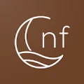 The Night Feed logo