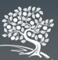 The Persimmon Group logo