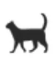 The Social Cat logo