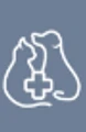 The Vet Connect logo