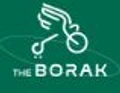TheBorak solutions logo