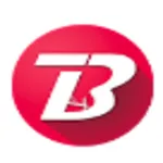 The Bridge logo