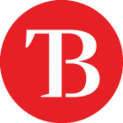 TheBull logo