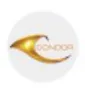 Condor Group