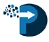The Digital Parking logo