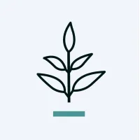LIVEKINDLY Collective logo