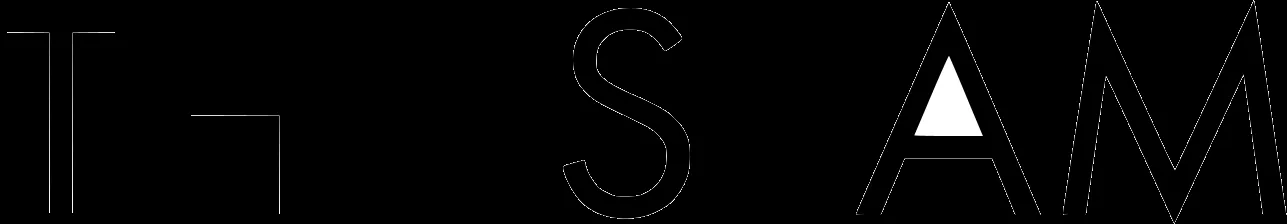 The Seam logo