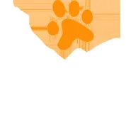 The TNS Group logo