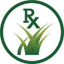 Turf Doctor Lawn logo