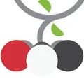 Thinkberries