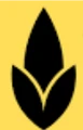 ThinkWave Technologies