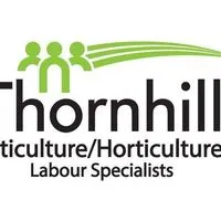 Thornhill logo