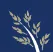 Thunderbrook Equestrian logo