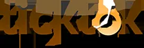 Ticktok logo