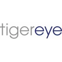 Tiger Eye Consulting logo
