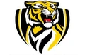 Tigerify