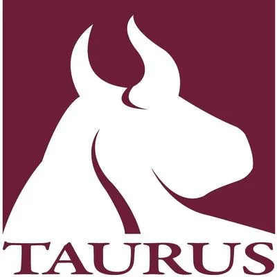 Taurus Investment Holdings