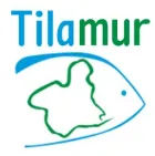 Tilamur logo