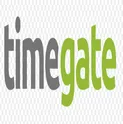 Timegate Instruments