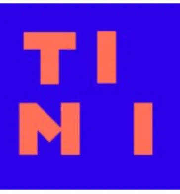 Timon Capital logo