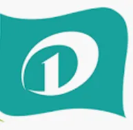 Douding Technology logo