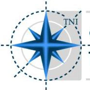 The National Investor logo