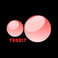 Toodit logo