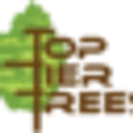 Top Tier Trees logo