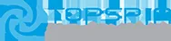 TopSpin logo