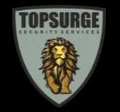 Topsurge Security Services