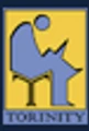 Torinity logo