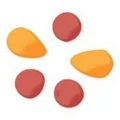 TrainChinese logo