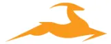 TransImpact logo