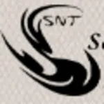 Sebastien Naulet Transport logo