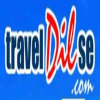 Travel Dilse logo